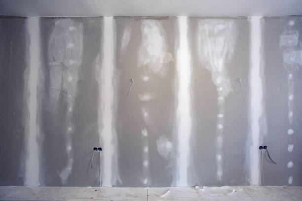 Best Drywall for Remodeling  in Tanque Verde, AZ